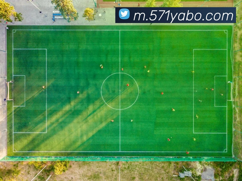 亚博体育网站APP 封面图